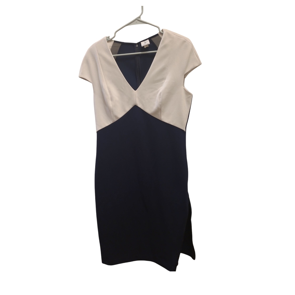 Elegant Two-Tone Dress